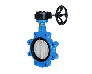 LT型蝸輪對(duì)夾式蝶閥D37L1X-6/10/16