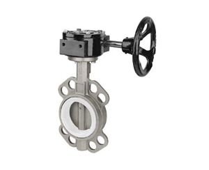 軟密封蝸輪四氟對(duì)夾式蝶閥D371F-6/10/16